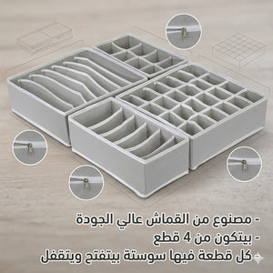 المنظم الرباعي